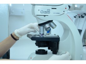 Предупрежден – значит, вооружен: когда нужно проходить онкоскрининг