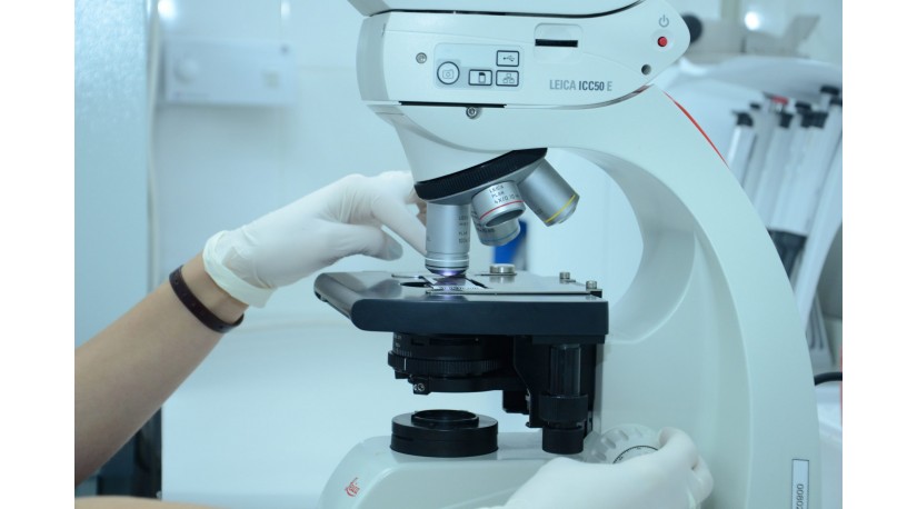 Предупрежден – значит, вооружен: когда нужно проходить онкоскрининг Предупрежден – значит, вооружен: когда нужно проходить онкоскрининг