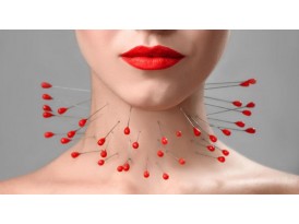 Заболевания паращитовидных желез: симптомы и диагностика Заболевания паращитовидных желез: симптомы и диагностика