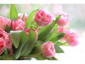 Вітаємо з Міжнародним жіночим днем!