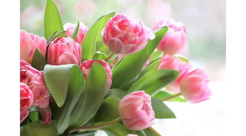 Вітаємо з Міжнародним жіночим днем!