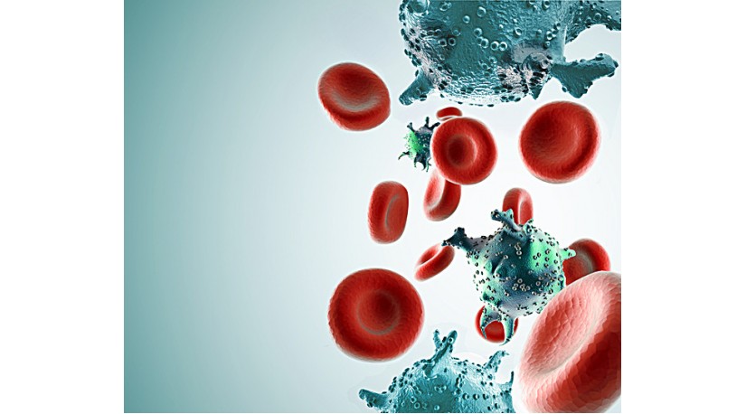 «Хороший» і «поганий» холестерин: що потрібно знати «Хороший» і «поганий» холестерин: що потрібно знати