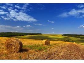 Щиро вітаємо з Днем Конституції України! Щиро вітаємо з Днем Конституції України!