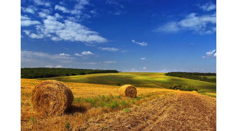 Щиро вітаємо з Днем Конституції України!