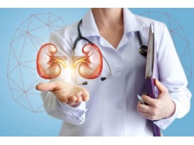 Пора проверить почки Пора проверить почки