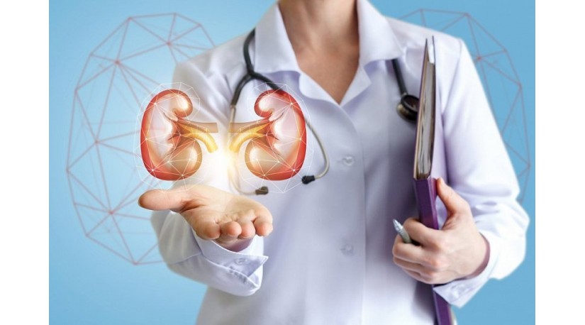 Пора проверить почки Пора проверить почки