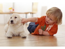 Симптоми паразитарних інфекцій у дітей Симптоми паразитарних інфекцій у дітей