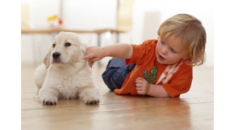 Симптоми паразитарних інфекцій у дітей Симптоми паразитарних інфекцій у дітей